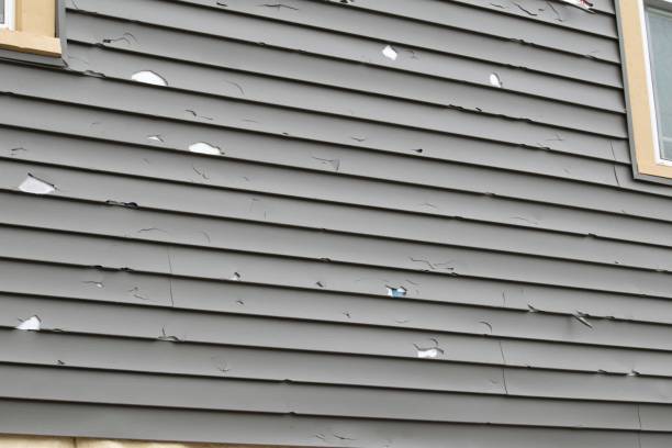 Best Basement Cleanout  in Nesquehoning, PA